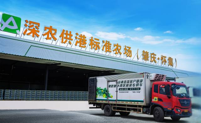 深农投，从“菜篮米袋”到产业矩阵